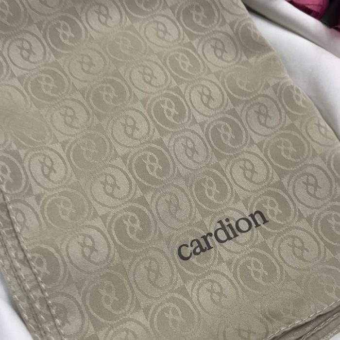 Cardion Jakarlı Capri Şal Taş